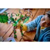 LEGO 71859 Дракон Жизни